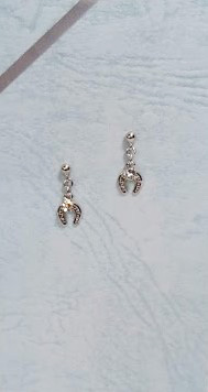 ﾌﾟﾗﾈｯﾄ　ﾋﾟｱｽ 
