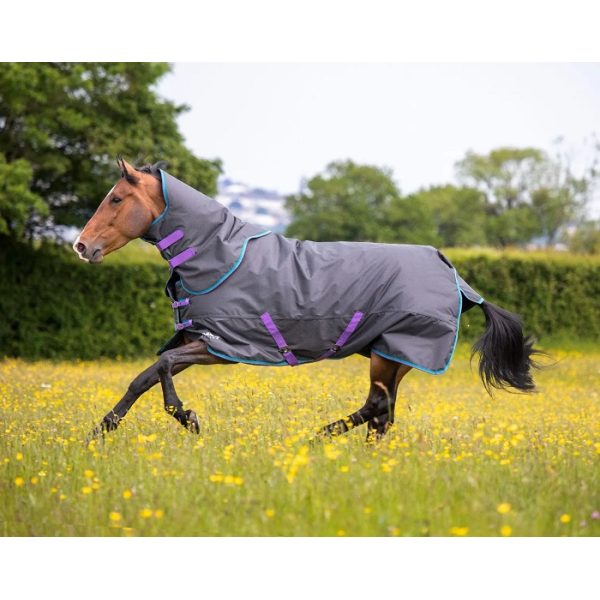 SHIRES　9376ﾃﾝﾍﾟｽﾄ300ﾗｸﾞ＆ﾈｯｸｾｯﾄ
