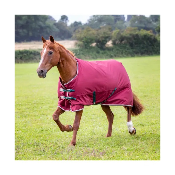 SHIRES　9331ﾃﾝﾍﾟｽﾄ200
