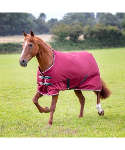 SHIRES　9331ﾃﾝﾍﾟｽﾄ200 