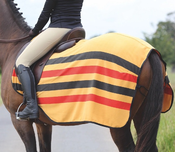 32F　ﾃﾝﾍﾟｽﾄﾌﾘｰｽｴｸｻｻｲｽﾞｼｰﾄ　ﾆｭｰﾏｰｹｯﾄ