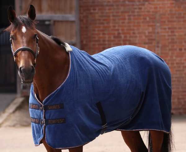 10583 ﾃﾝﾍﾟｽﾄｵﾘｼﾞﾅﾙﾄﾞﾗｲﾗｸﾞ