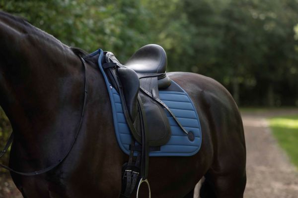 KINGSLAND 010 MAXINE サドルパッドDRESSAGE