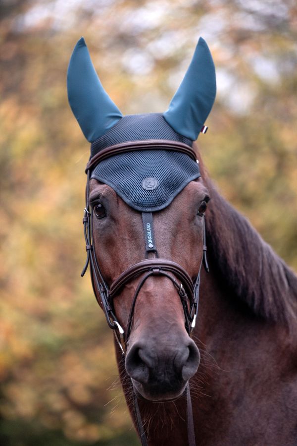 KINGSLAND 009 MAXINEメッシュイヤーネット