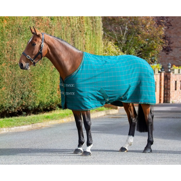 9454　ﾃﾝﾍﾟｽﾄｵﾘｼﾞﾅﾙｽﾃｰﾌﾞﾙｼｰﾄ　ﾁｪｯｸ