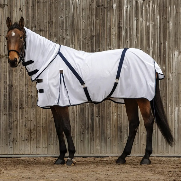 乗馬用品　馬着 imgrc0112699093.jpg