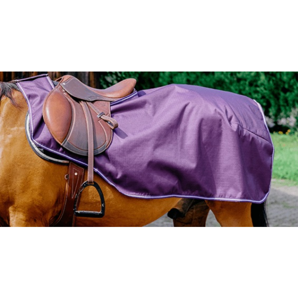 TYREX エクササイズシート 600D プラム 405681