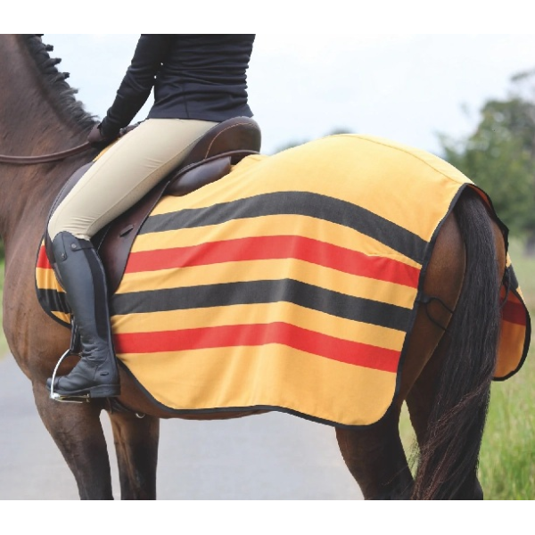 32F　ﾃﾝﾍﾟｽﾄﾌﾘｰｽｴｸｻｻｲｽﾞｼｰﾄ　ﾆｭｰﾏｰｹｯﾄ