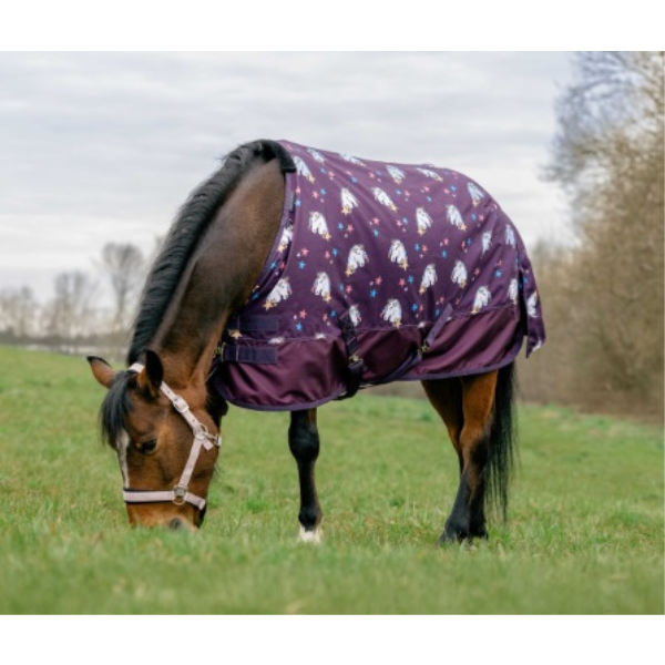 E'THEME 600D/220g馬着 ﾌﾟﾗﾑ　400585