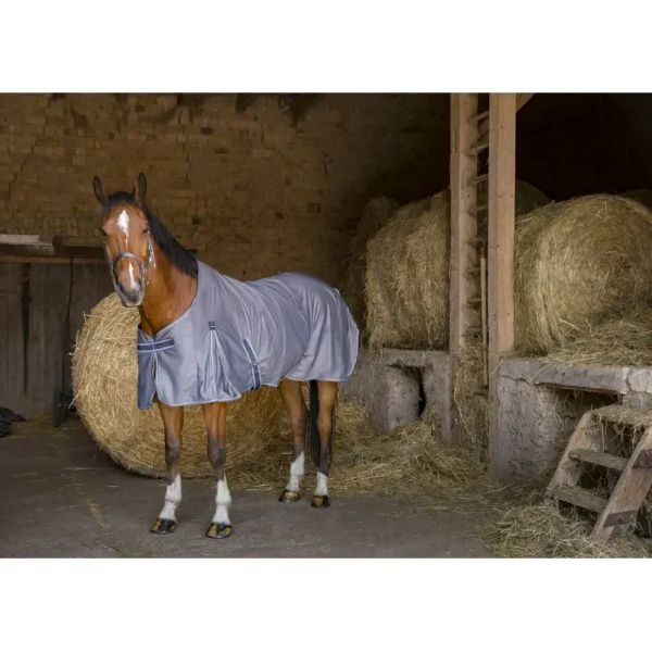 400738　EKKIA クールドライラグ　78”グレー