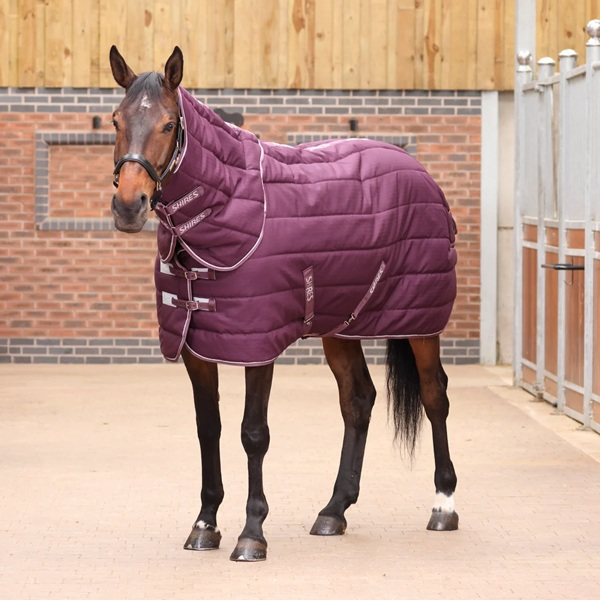 SHIRES　10468テンペスト300ラグ&ネックセット