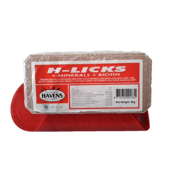 HAVENS　H-LICKS精製塩（ホルダー別売り）