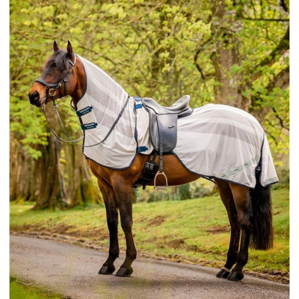AMIGO　Flyrider