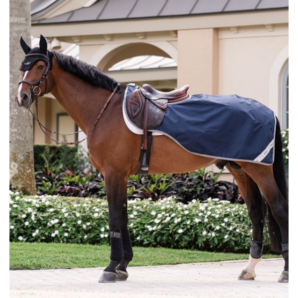 AMIGO Ripstop エクササイズシート