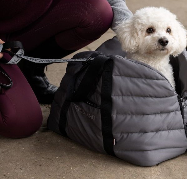 KINGSLAND　001　MACEY　首輪＆リード 