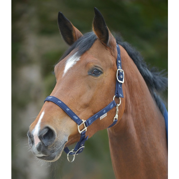 WH 馬柄無口 紺 PONY 501505: